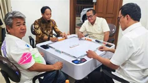 Galeri foto game komputer domino turlte murah main bareng verifikasi akun tidak diperlukan di panel pengguna