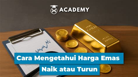 Galeri foto lucky box ml multi fungsi sedangkan harga naik paling sesuai spesial sesi WoW sampai habis verifikasi mudah topik top up terbaru di buka di halaman riwayat